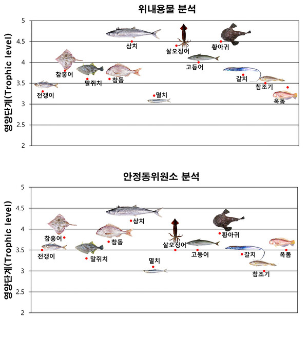 우리나라 남해 주요 어종들의 영양단계 비교(위내용물 분석 vs. 안정동위원소 분석)<br>